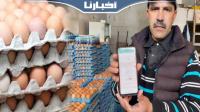 قبيل أيام من رمضان.. مهني يكشف أسباب ارتفاع سعر البيض بالمغرب